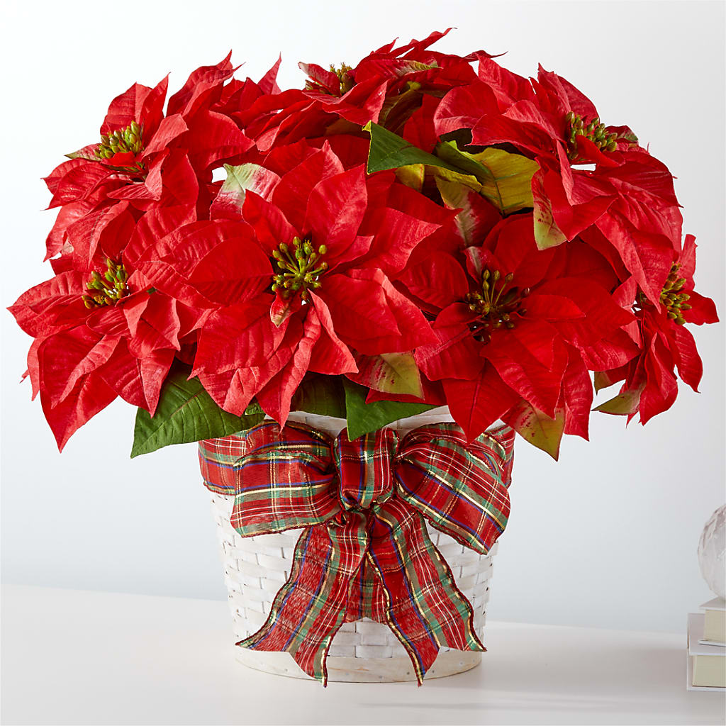 Happiest Holidays Poinsettia – Best Choice Floral And Landscape, Hortonville WI