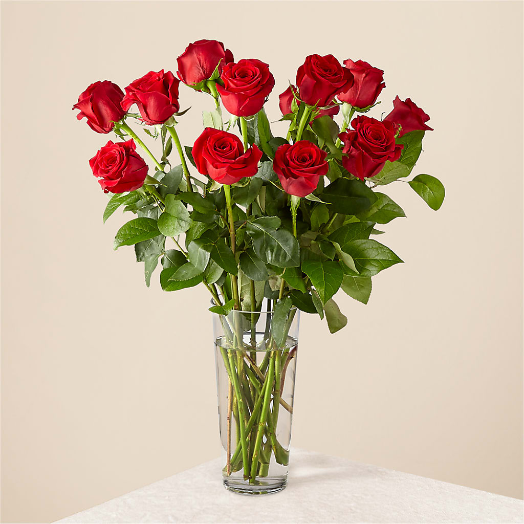 Long Stem Red Rose Bouquet – Best Choice Floral And Landscape, Hortonville WI