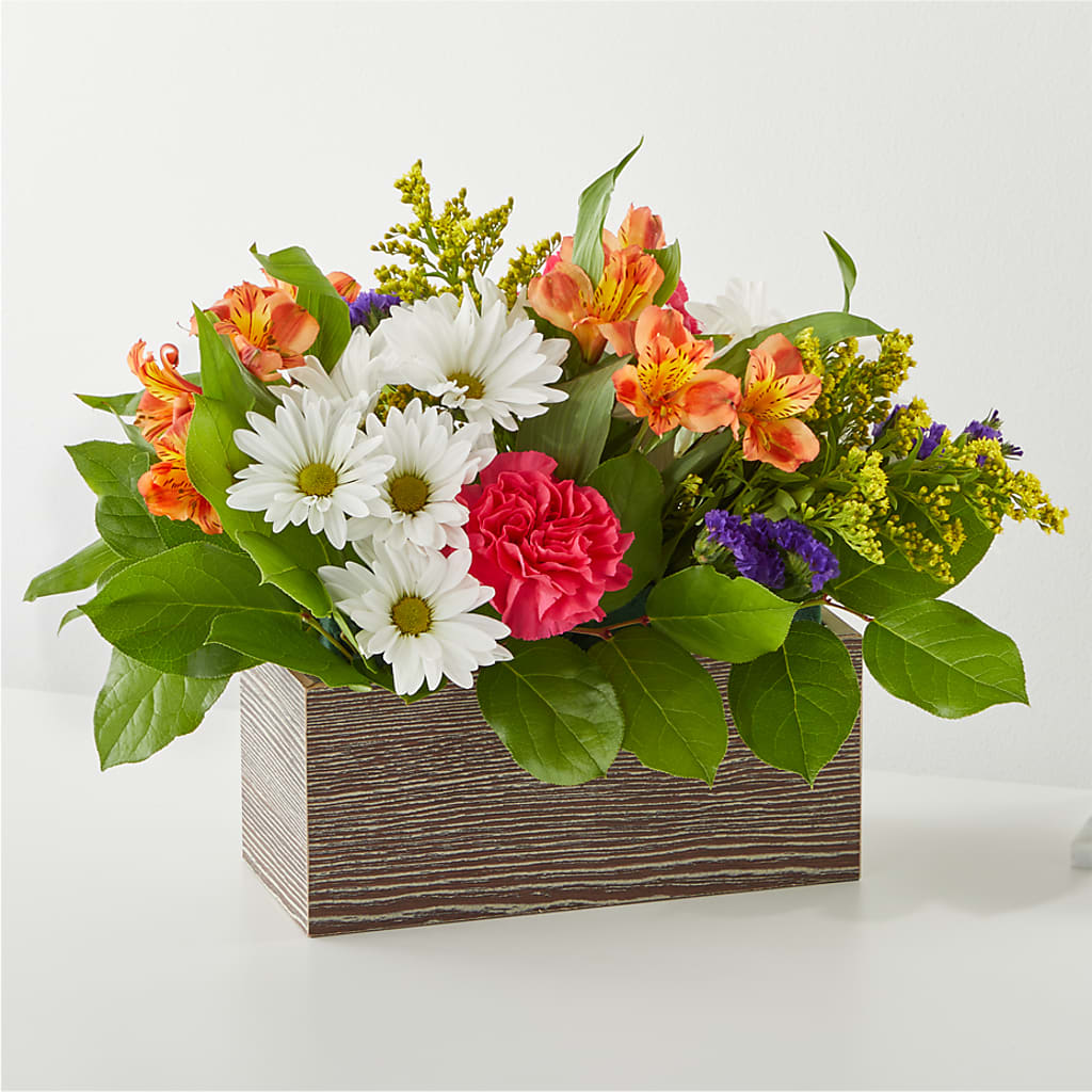 Oopsie Daisy Box Bouquet – Best Choice Floral And Landscape, Hortonville WI