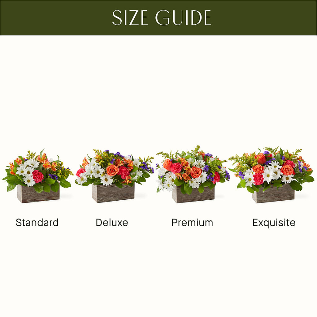 Oopsie Daisy Box Bouquet – Best Choice Floral And Landscape, Hortonville WI