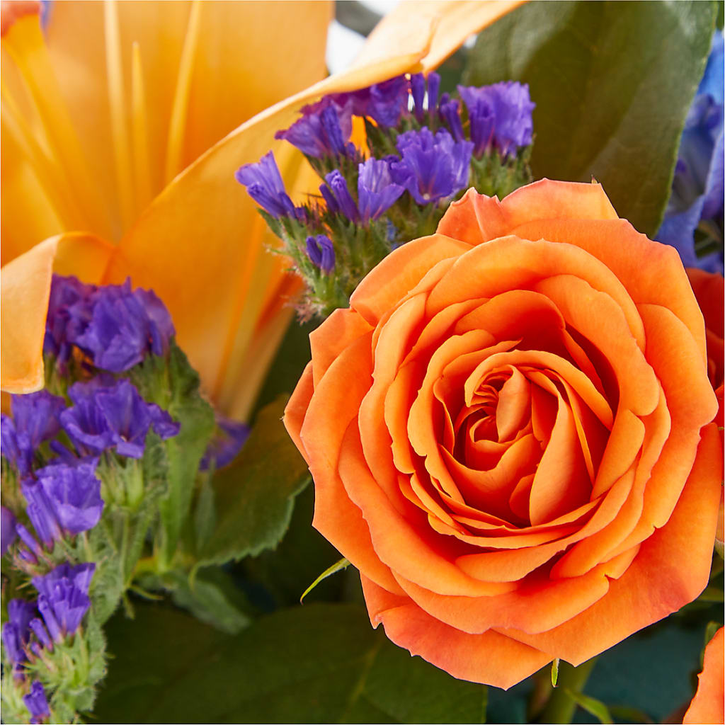 Radiant Citrus Box Bouquet – Best Choice Floral And Landscape, Hortonville WI