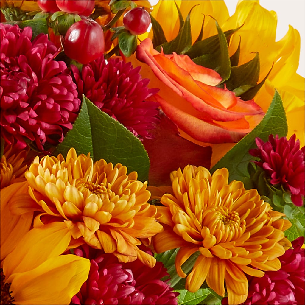 Sweater Season - A Florist Original – Best Choice Floral And Landscape, Hortonville WI