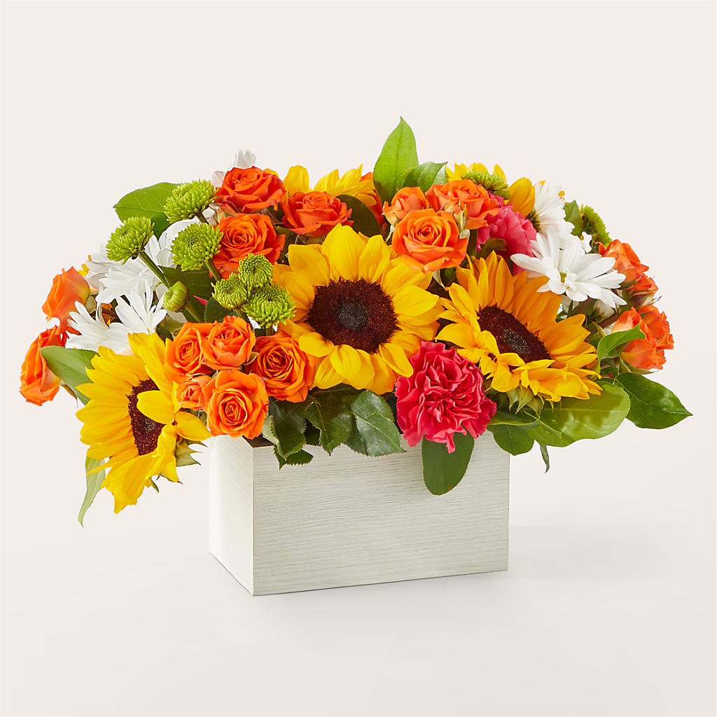 Sun-drenched Blooms Box Bouquet – Best Choice Floral And Landscape, Hortonville WI