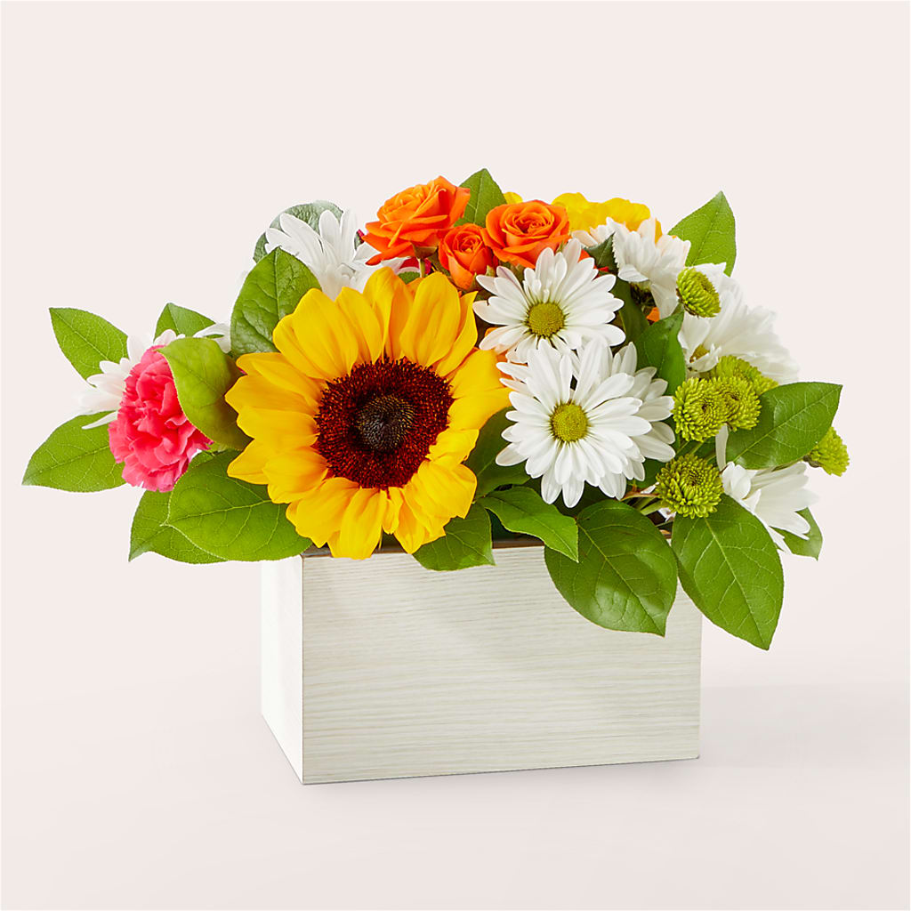 Sun-drenched Blooms Box Bouquet – Best Choice Floral And Landscape, Hortonville WI