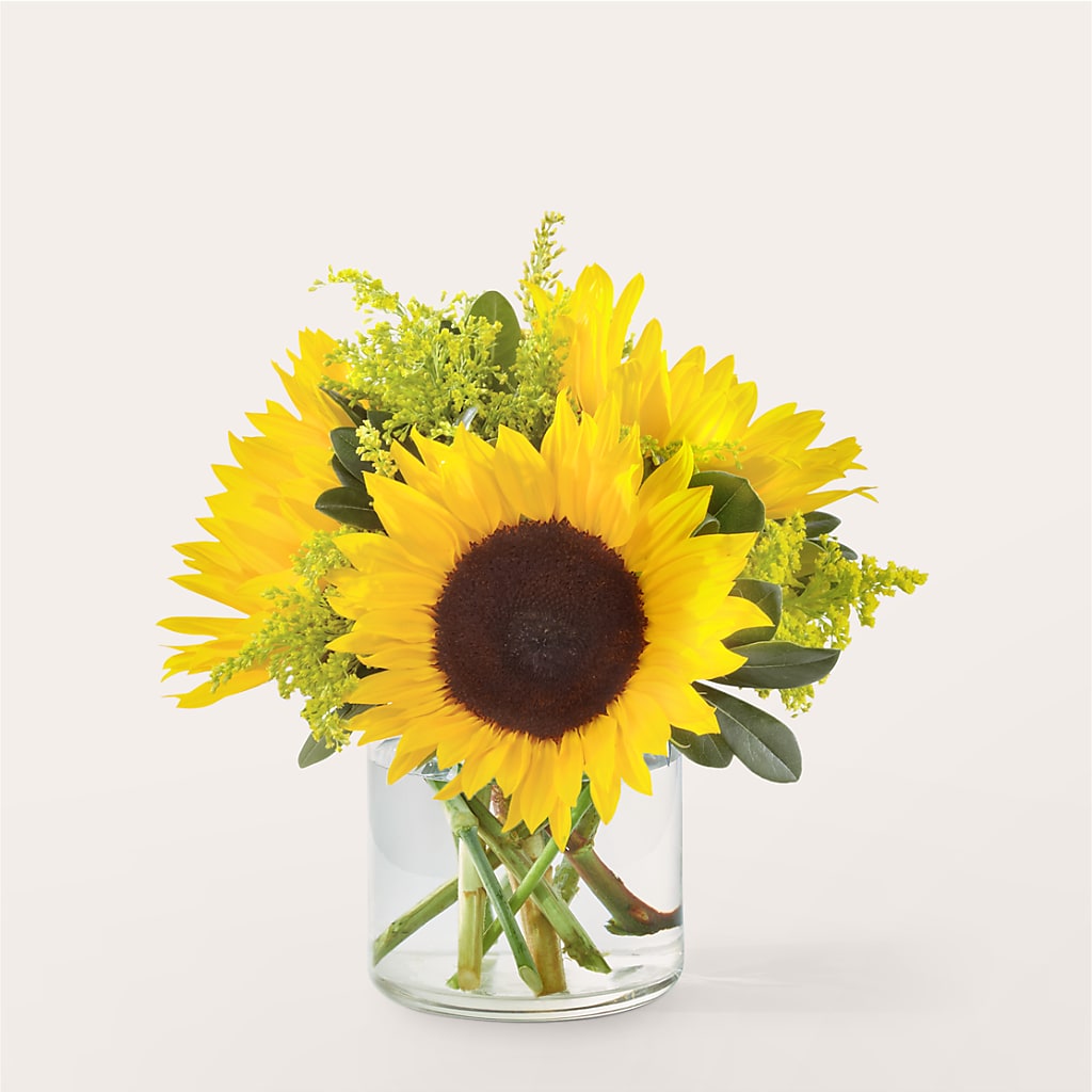 Beaming Sunflower Bouquet – Best Choice Floral And Landscape, Hortonville WI