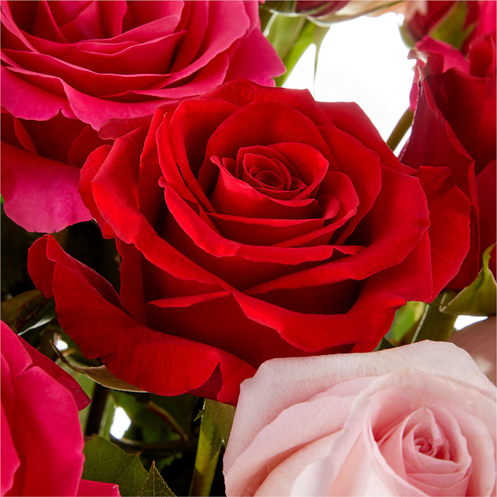 Love Notes Rose Bouquet – Best Choice Floral And Landscape, Hortonville WI