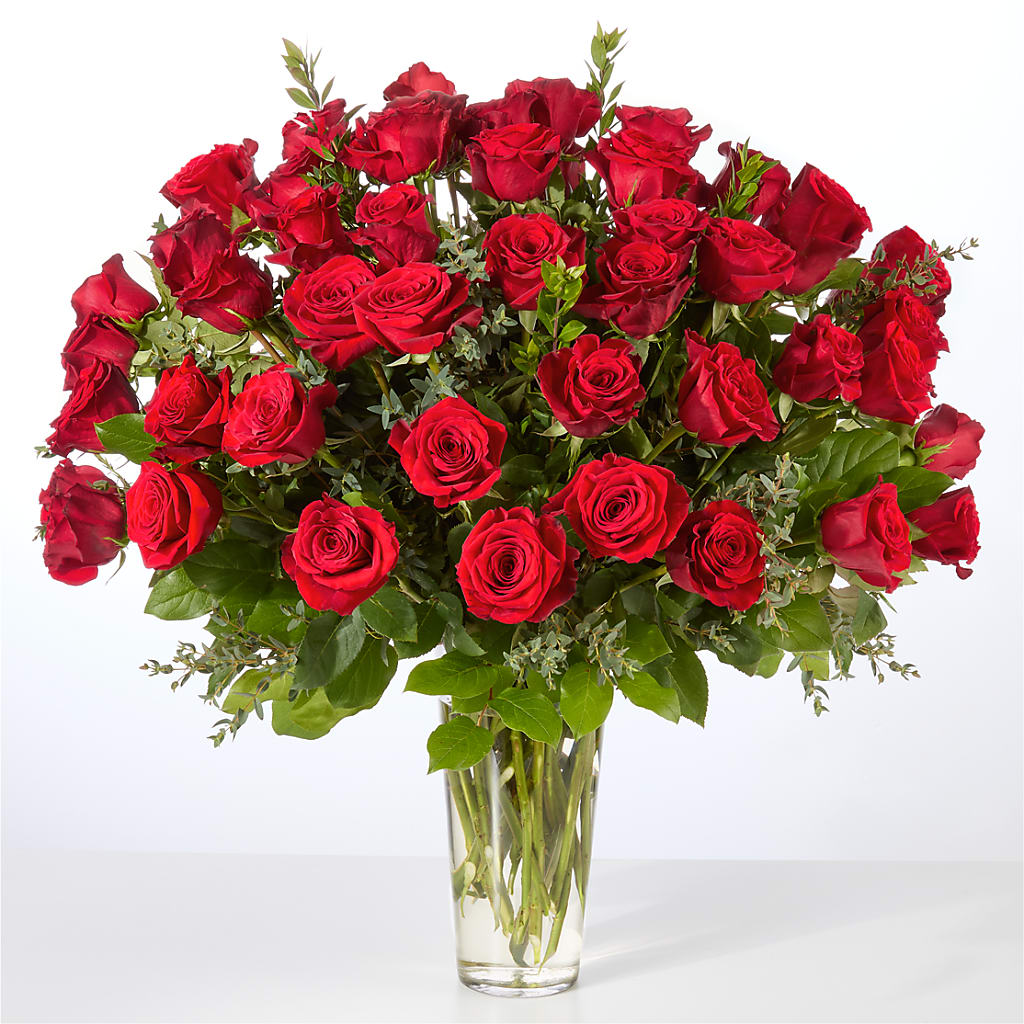 Forever Yours Fifty Stem Red Rose Bouquet – Best Choice Floral And Landscape, Hortonville WI