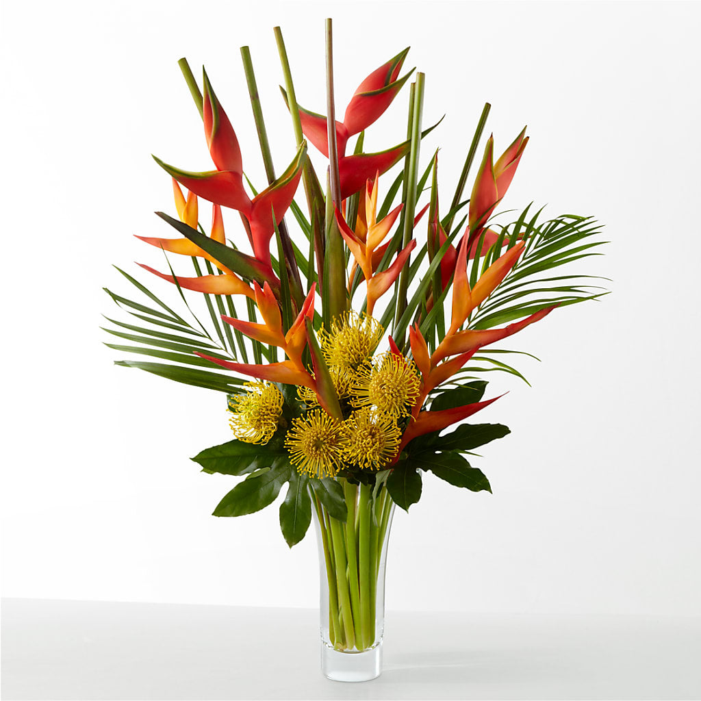 The Drama – Best Choice Floral And Landscape, Hortonville WI