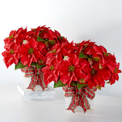 Happiest Holidays Poinsettia Bundle –  Best Choice Floral And Landscape, Hortonville WI