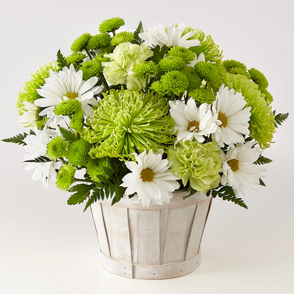 Lucky Charm Basket (Standard) –  Best Choice Floral And Landscape, Hortonville WI