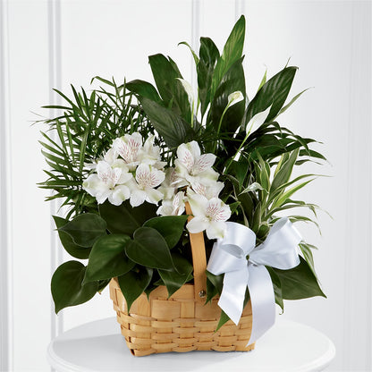 Peace & Serenity Dishgarden –  Best Choice Floral And Landscape, Hortonville WI