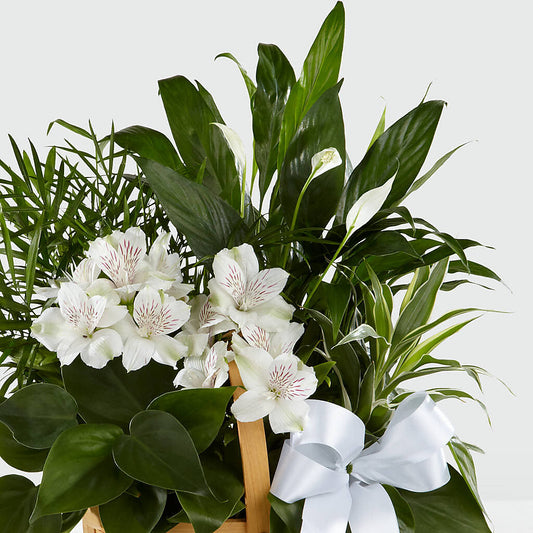 Peace & Serenity Dishgarden –  Best Choice Floral And Landscape, Hortonville WI