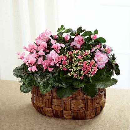Pink Assortment –  Best Choice Floral And Landscape, Hortonville WI