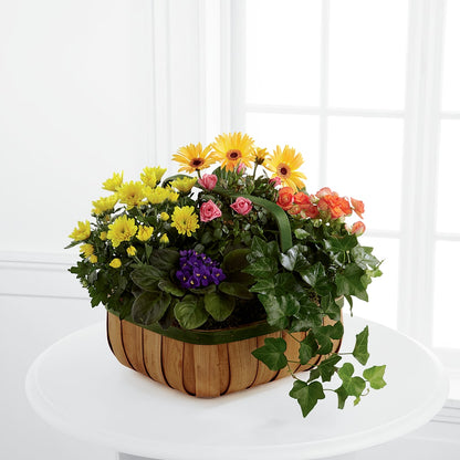Gentle Blossoms Basket –  Best Choice Floral And Landscape, Hortonville WI