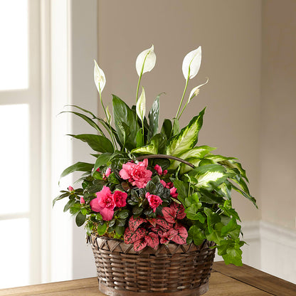 Dream in Pink Dishgarden –  Best Choice Floral And Landscape, Hortonville WI