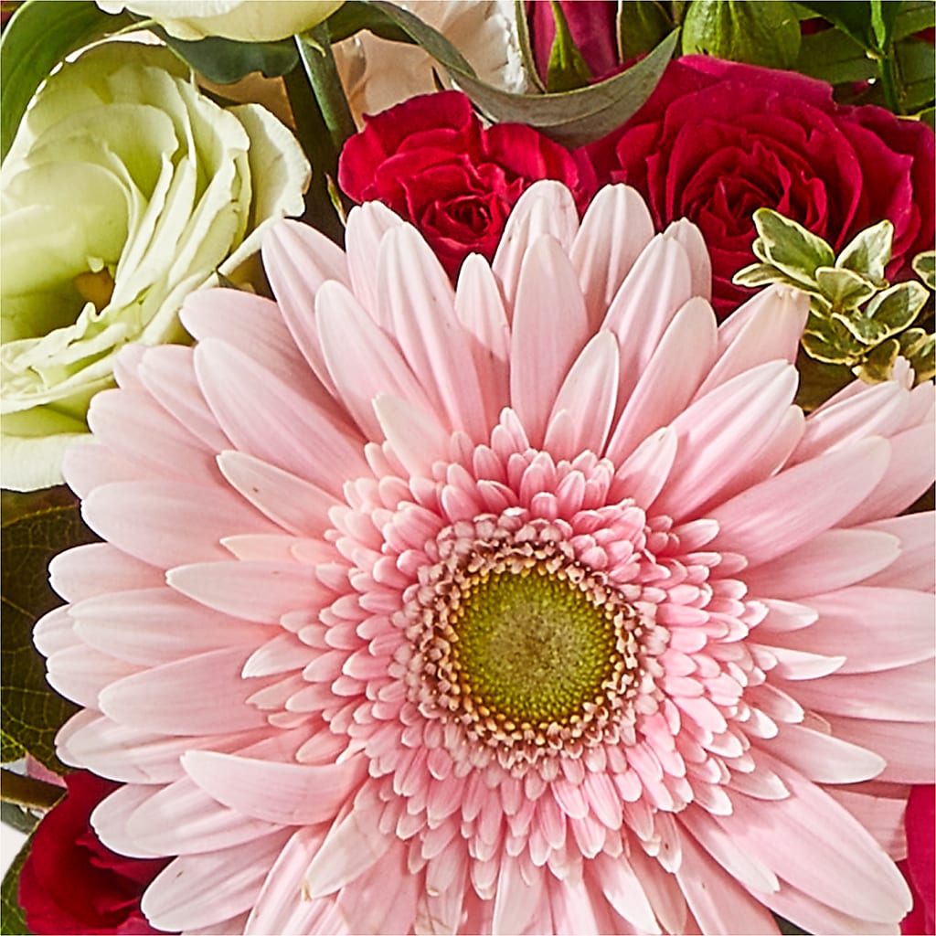 Too Cute Bouquet –  Best Choice Floral And Landscape, Hortonville WI