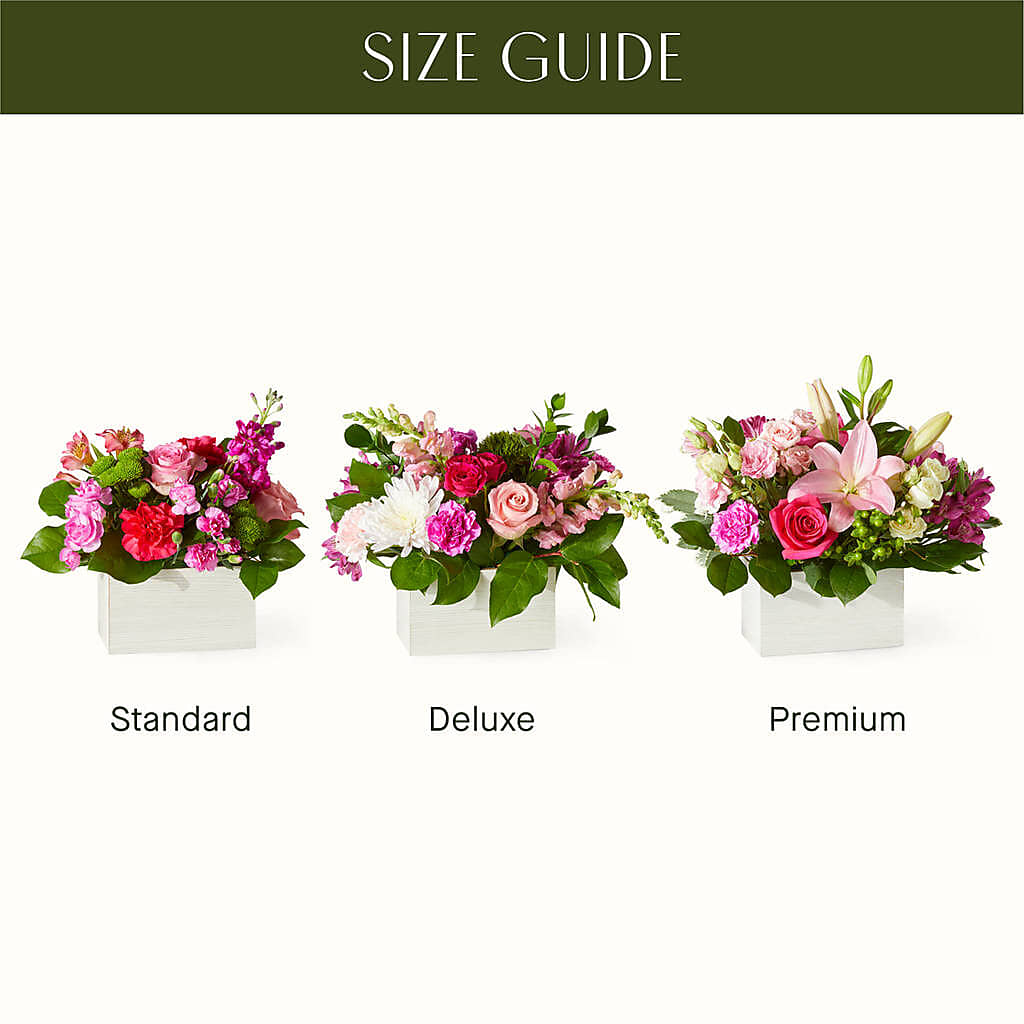 Sweetberry Box – A Florist Original –  Best Choice Floral And Landscape, Hortonville WI