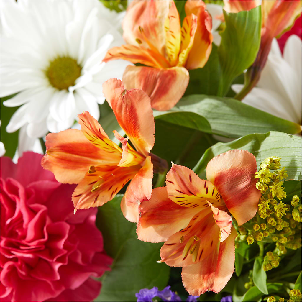 Oopsie Daisy Box Bouquet –  Best Choice Floral And Landscape, Hortonville WI