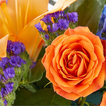 Radiant Citrus Box Bouquet –  Best Choice Floral And Landscape, Hortonville WI