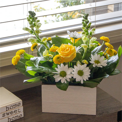 Sun Salutation Box Bouquet –  Best Choice Floral And Landscape, Hortonville WI