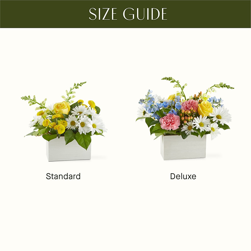Sun Salutation Box Bouquet –  Best Choice Floral And Landscape, Hortonville WI