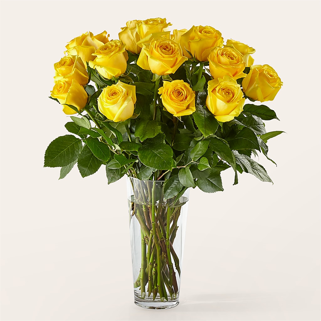 Long Stem Yellow Rose Bouquet –  Best Choice Floral And Landscape, Hortonville WI