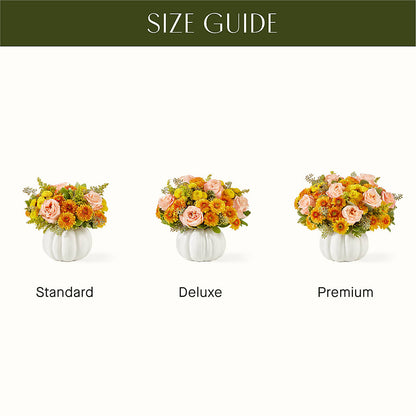 Peachy Pumpkin –  Best Choice Floral And Landscape, Hortonville WI