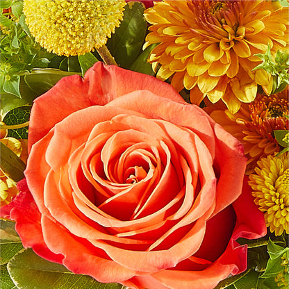 Gourdgeous Pumpkin –  Best Choice Floral And Landscape, Hortonville WI
