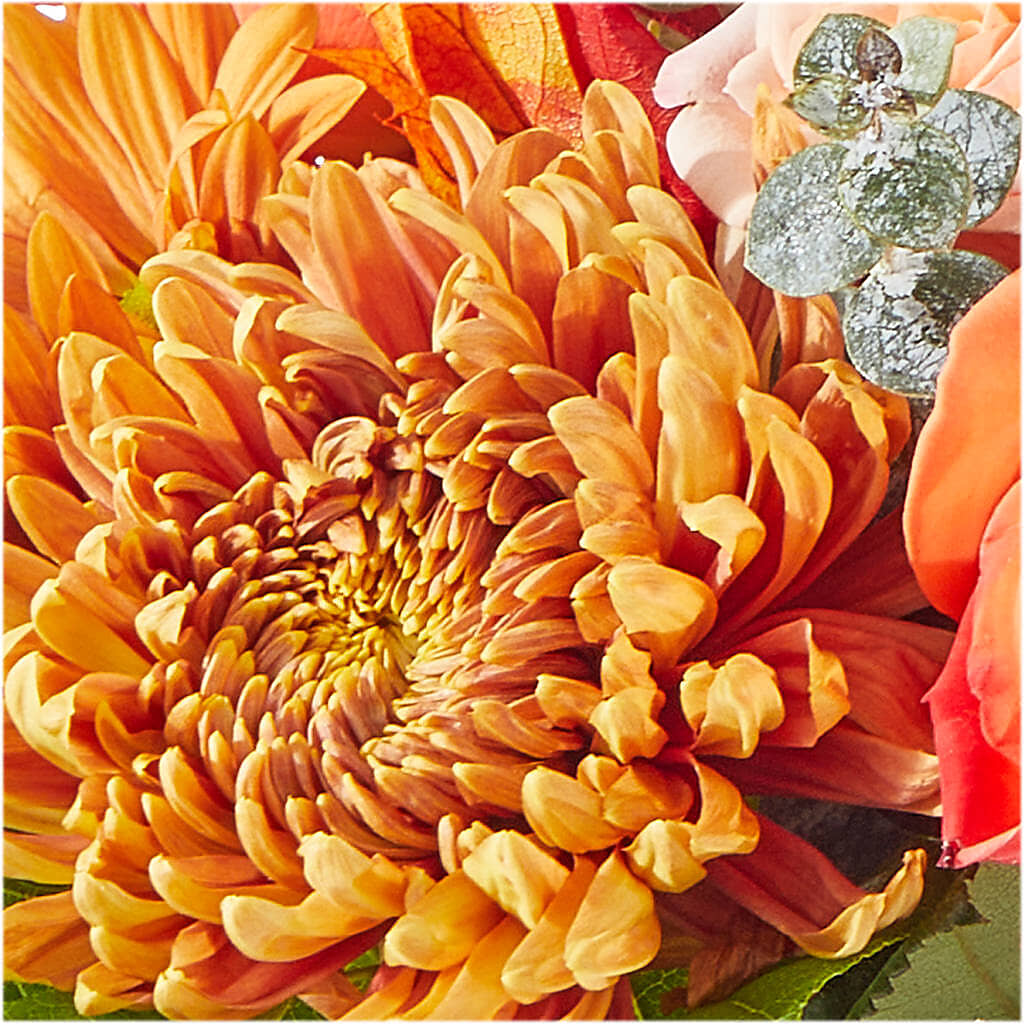 Scenic Route Bouquet –  Best Choice Floral And Landscape, Hortonville WI