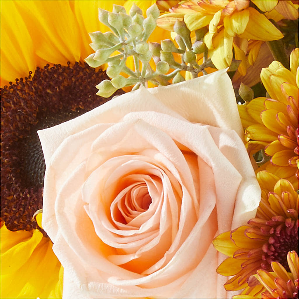 Pumpkin to Talk About Bouquet –  Best Choice Floral And Landscape, Hortonville WI