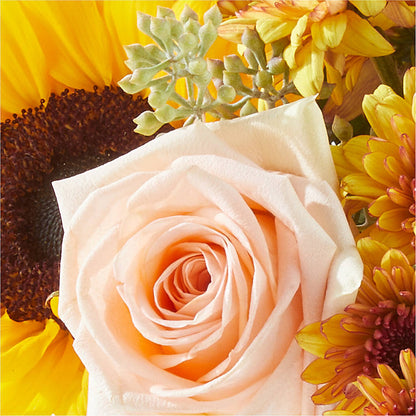 Pumpkin to Talk About Bouquet –  Best Choice Floral And Landscape, Hortonville WI