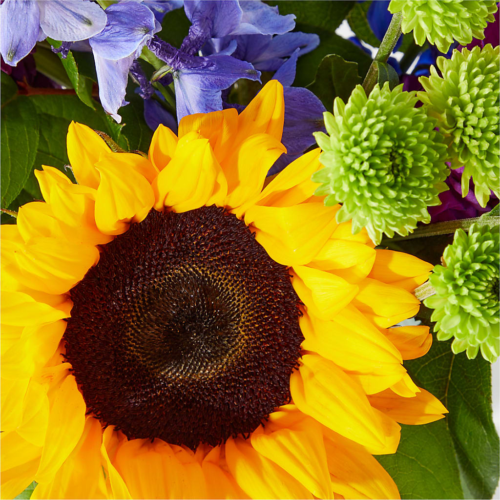 Catching Rays Bouquet –  Best Choice Floral And Landscape, Hortonville WI