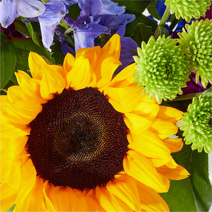Catching Rays Bouquet –  Best Choice Floral And Landscape, Hortonville WI