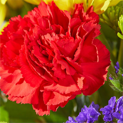 Brighter Days Bouquet –  Best Choice Floral And Landscape, Hortonville WI