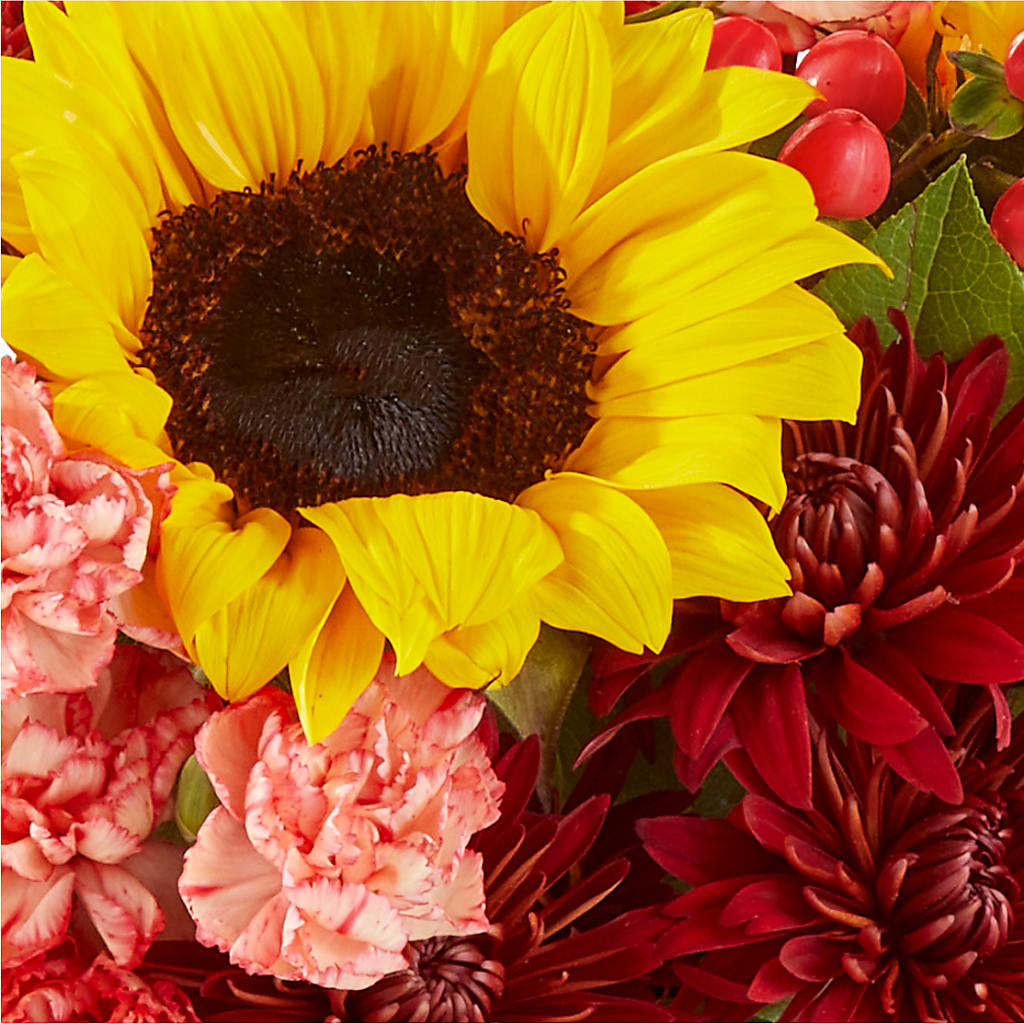 Fresh Cider Bouquet –  Best Choice Floral And Landscape, Hortonville WI
