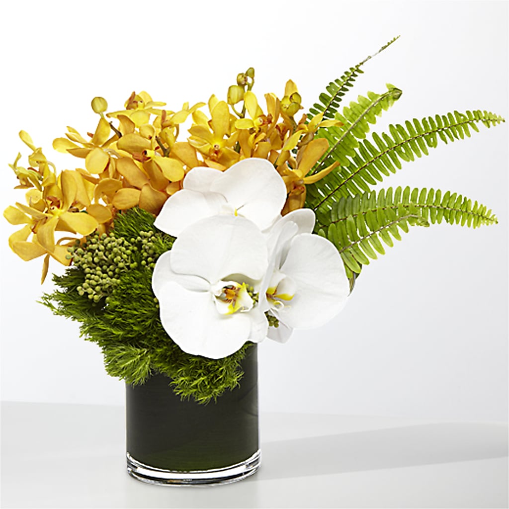 The Tropics –  Best Choice Floral And Landscape, Hortonville WI