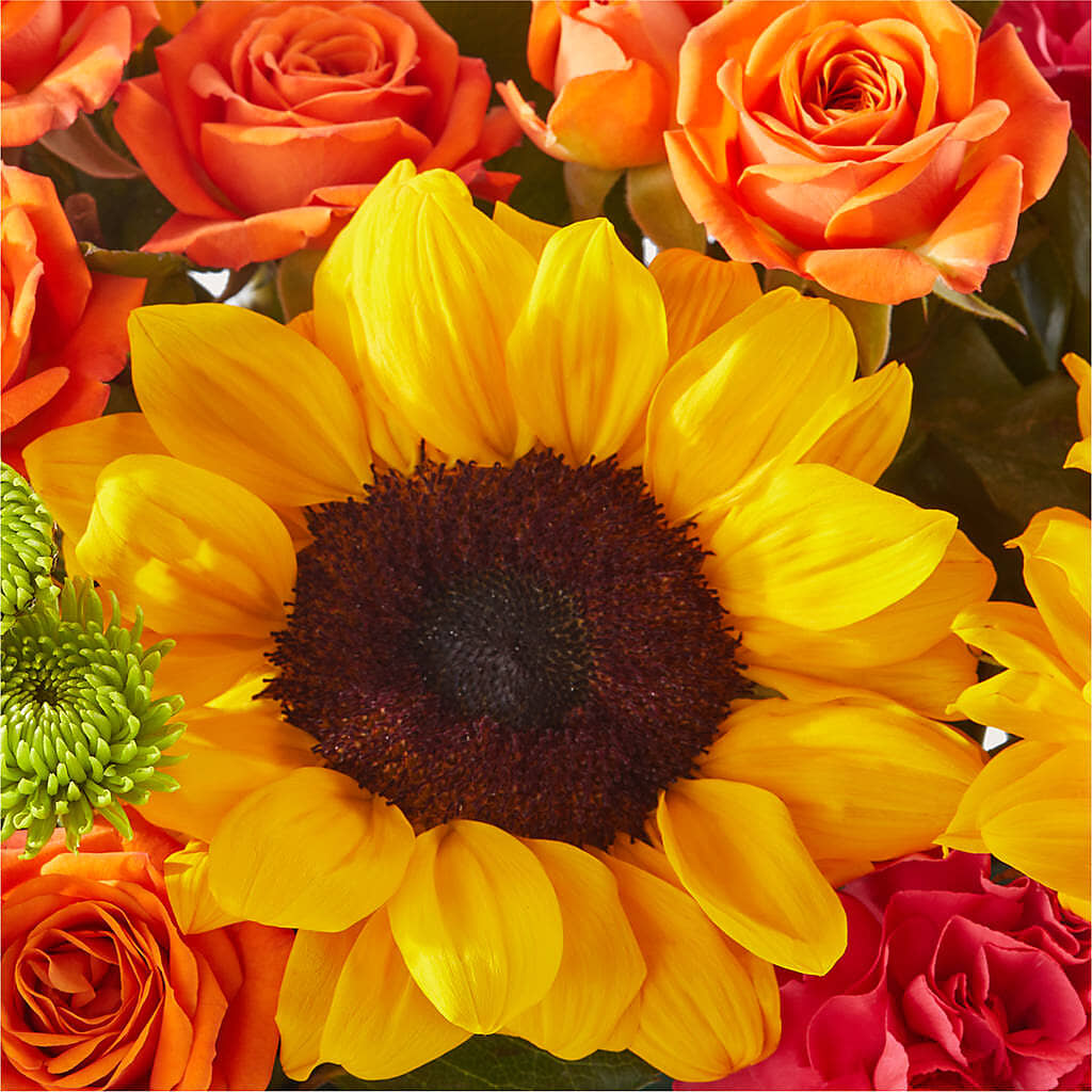 Sun-drenched Blooms Box Bouquet –  Best Choice Floral And Landscape, Hortonville WI