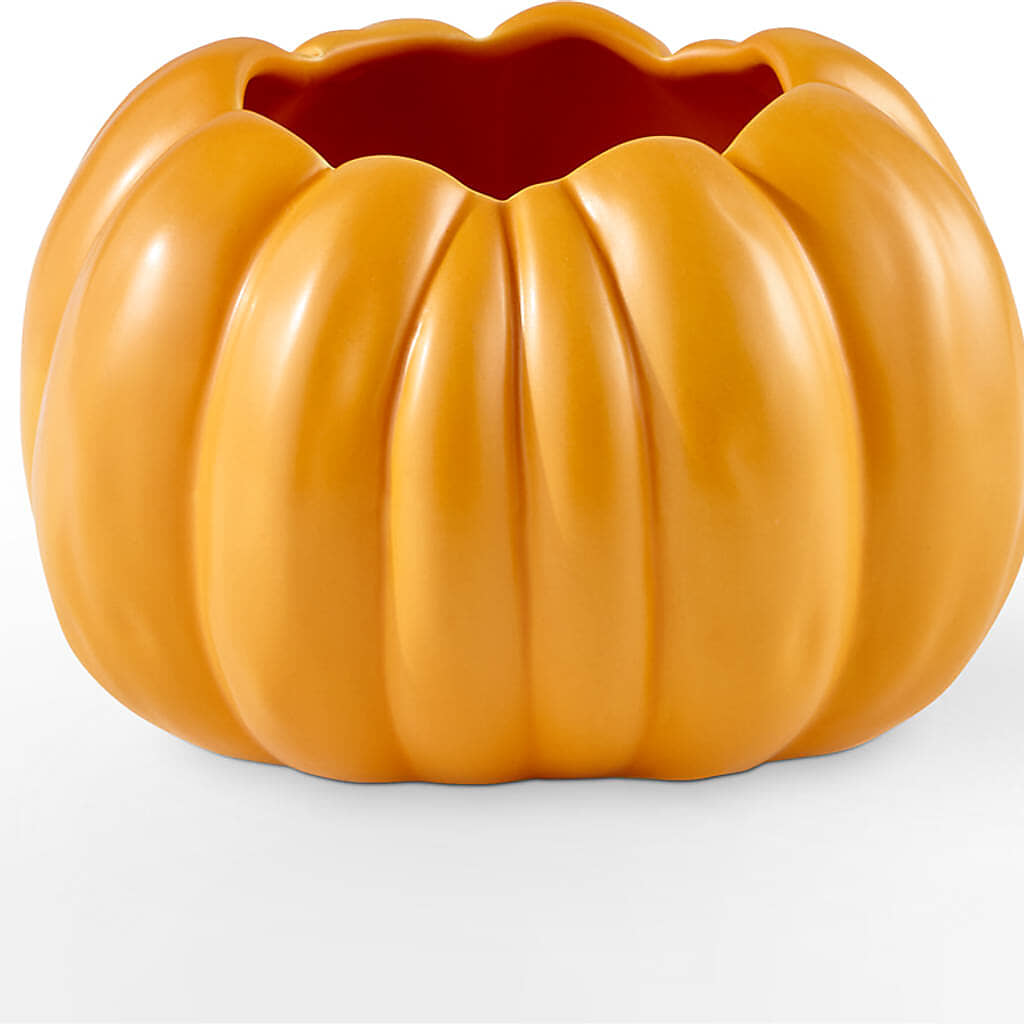 Golden Gourd Pumpkin Bouquet –  Best Choice Floral And Landscape, Hortonville WI