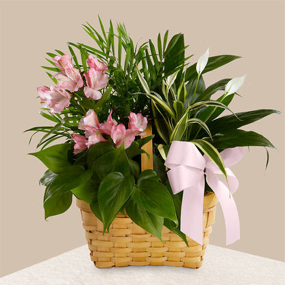 Living Spirit Dishgarden –  Best Choice Floral And Landscape, Hortonville WI