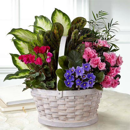 Peaceful Garden Planter –  Best Choice Floral And Landscape, Hortonville WI