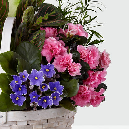 Peaceful Garden Planter –  Best Choice Floral And Landscape, Hortonville WI