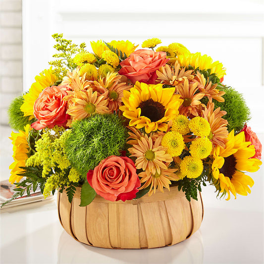 Harvest Sunflower Basket –  Best Choice Floral And Landscape, Hortonville WI