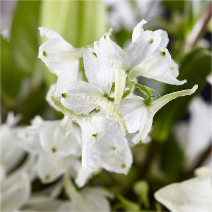 Classic Ivory – A Florist Original –  Best Choice Floral And Landscape, Hortonville WI