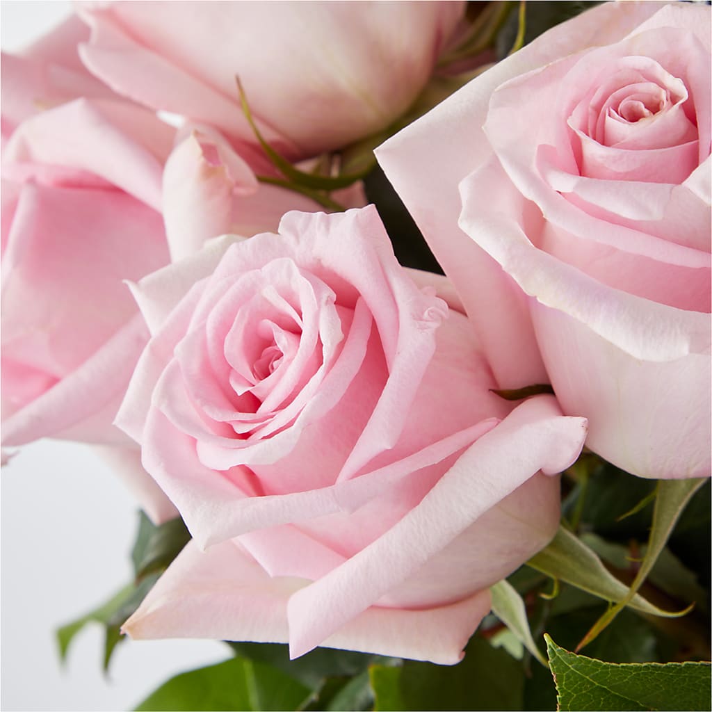Picture Perfect Pink Rose Bouquet –  Best Choice Floral And Landscape, Hortonville WI