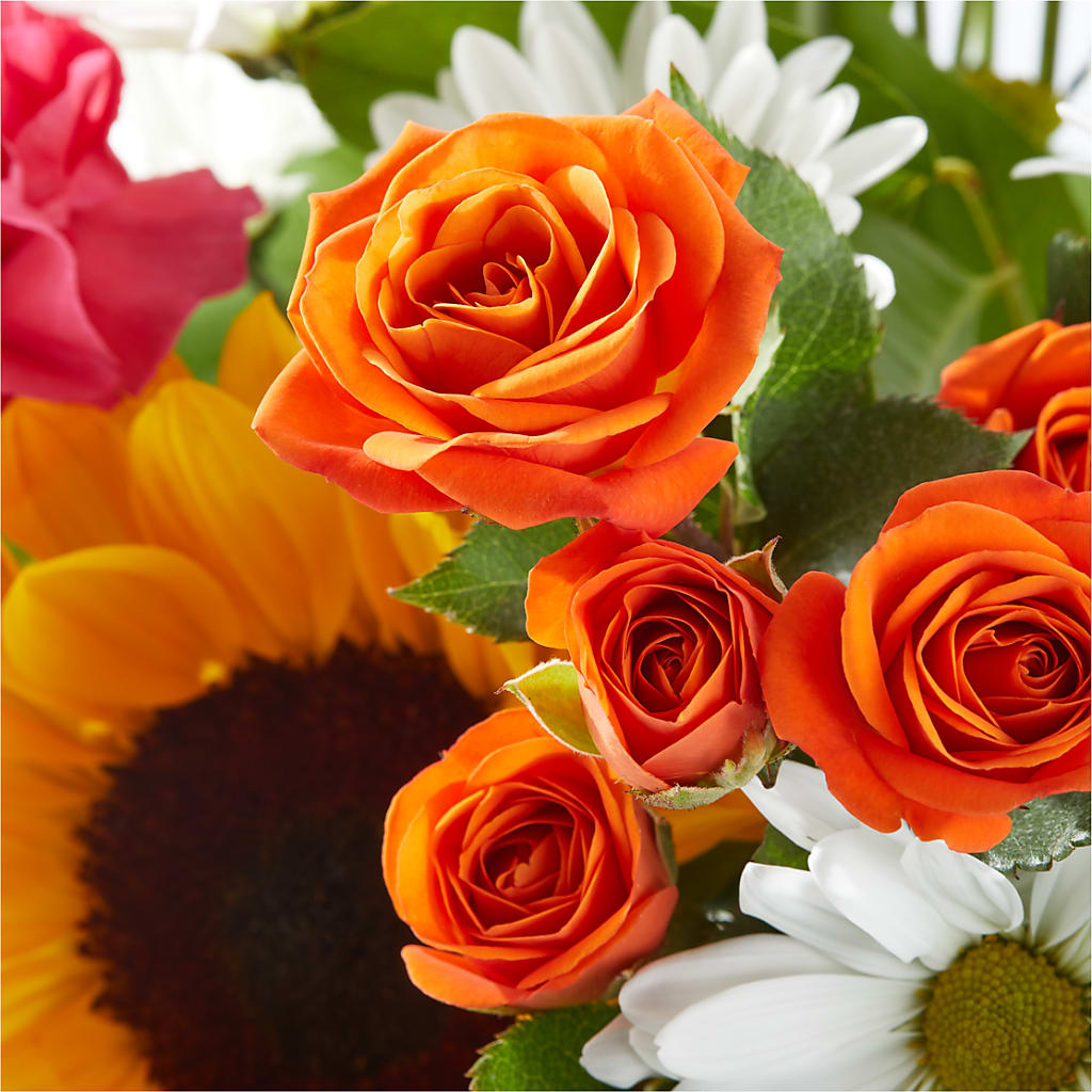 Sun-drenched Blooms Bouquet –  Best Choice Floral And Landscape, Hortonville WI