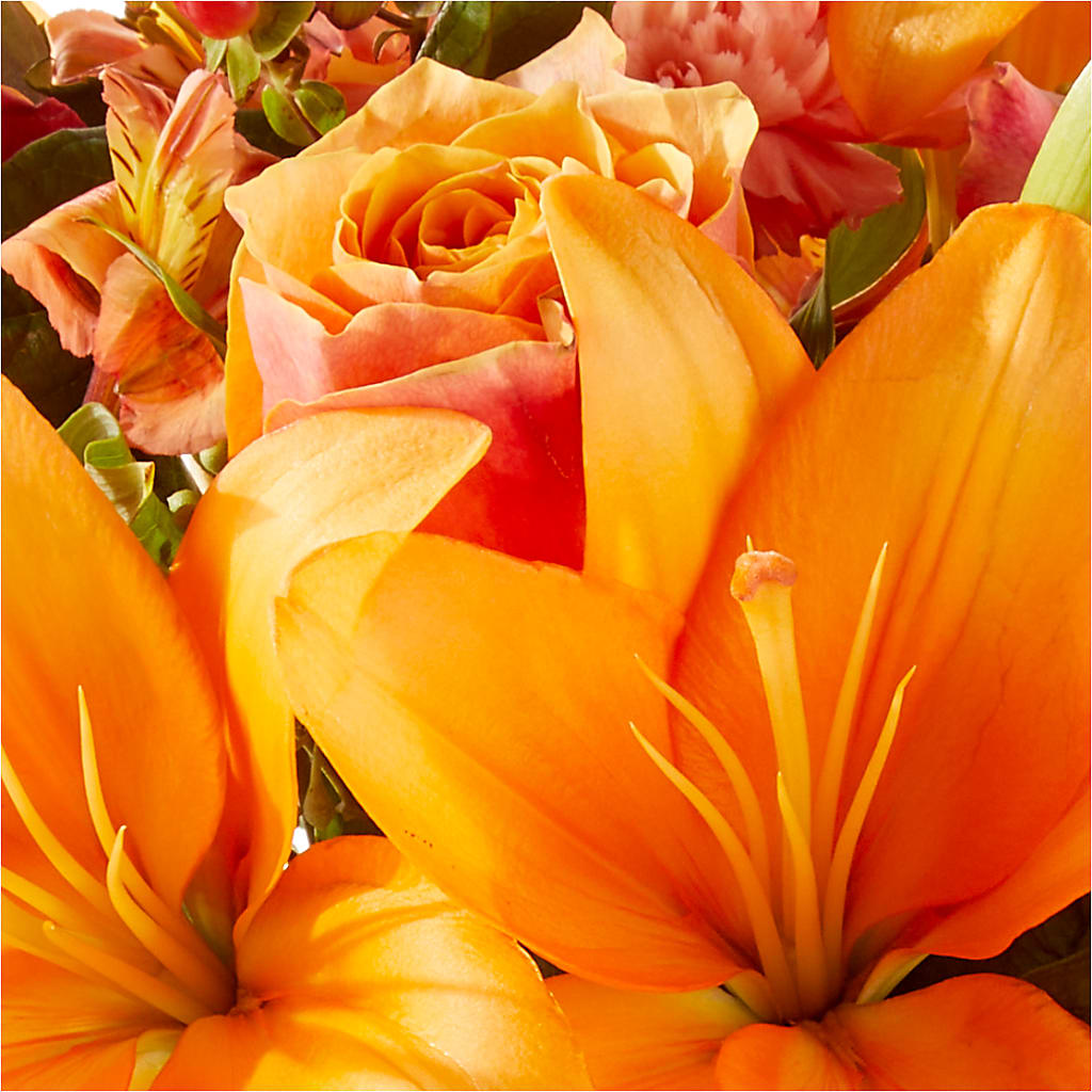 Afternoon Light Bouquet –  Best Choice Floral And Landscape, Hortonville WI