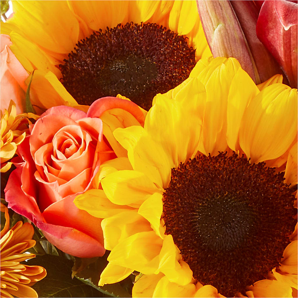 Acorn Lane Bouquet –  Best Choice Floral And Landscape, Hortonville WI