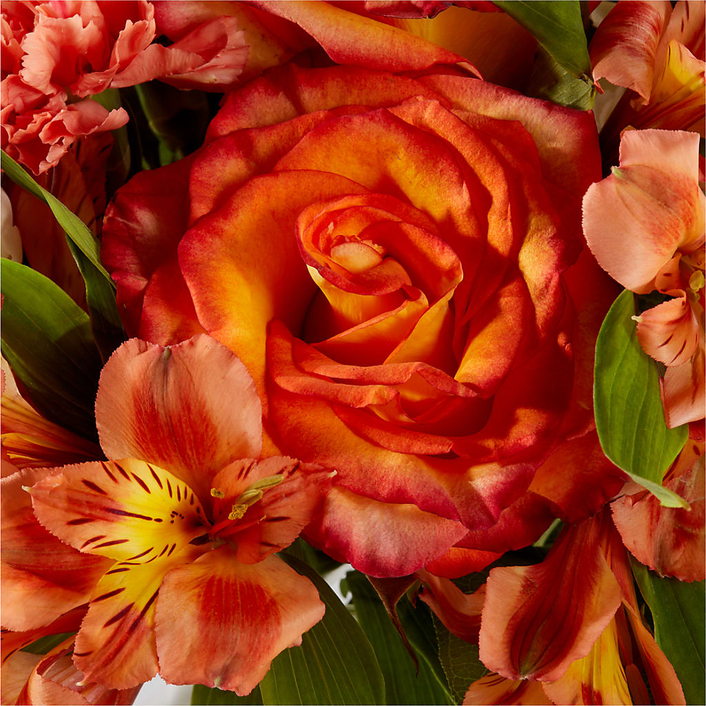 Apricot Glow Bouquet –  Best Choice Floral And Landscape, Hortonville WI