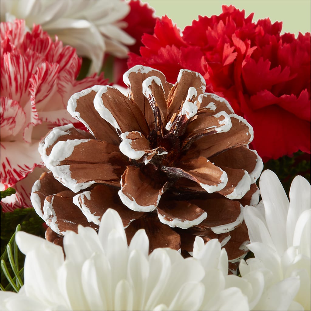 Candy Cane Lane Bouquet –  Best Choice Floral And Landscape, Hortonville WI