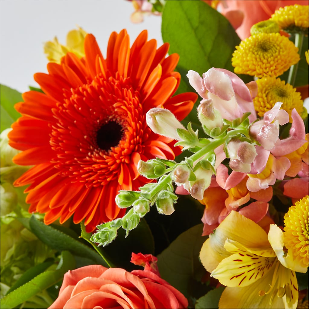 Autumn Sunshine Bouquet –  Best Choice Floral And Landscape, Hortonville WI